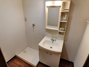 フラワーパーク南四十万　Ａ棟_０００Ｂ_その他画像2_洗面所
